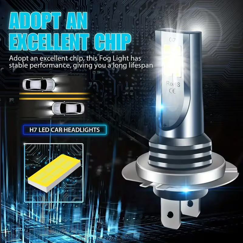 Ampoule H7 LED